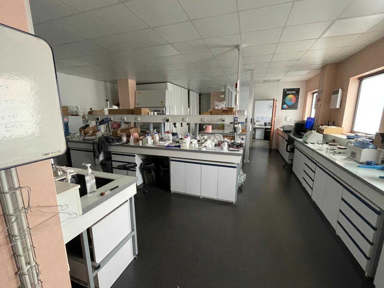 Local d'activité Taverny 1641m² Location local d'activité Taverny Val-d'Oise OLACT2426793 5